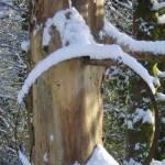Wheel rim in snow