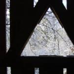 Wood Shed Triangle