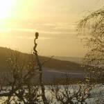 Hoodie on a frosty morning