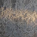 frost on wood