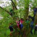 Forest School with North Bute Primary