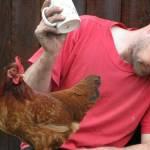 Where do you think eggs come from?